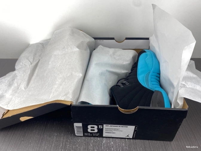 Reps TBkick Gamma 12 Retro Jordan 130690-027 Blue 0818